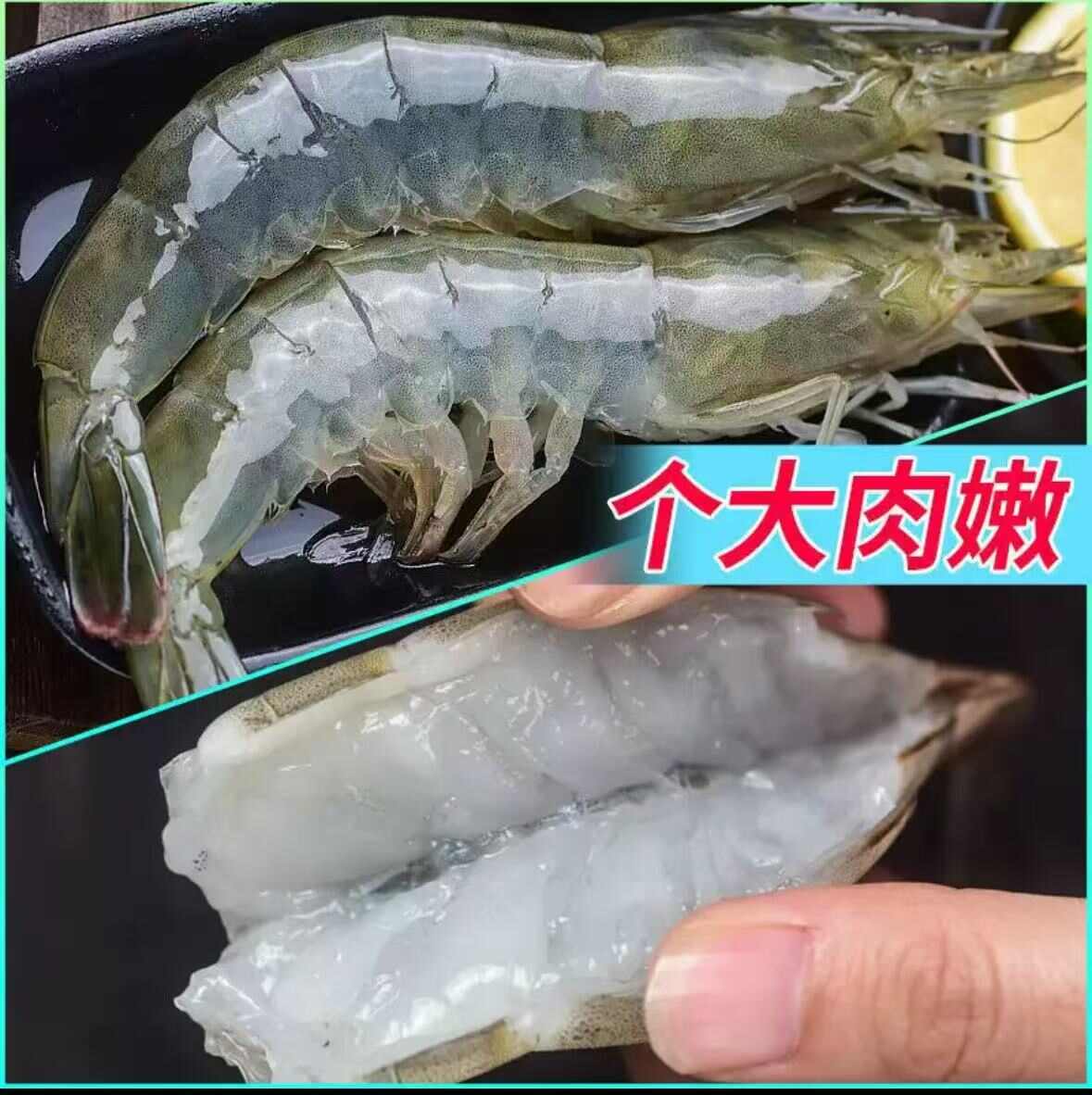 新鲜大虾特写，个头饱满